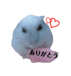 豆子ちゃんの使えそうなスタンプ（個別スタンプ：5）