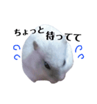 豆子ちゃんの使えそうなスタンプ（個別スタンプ：9）