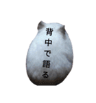豆子ちゃんの使えそうなスタンプ（個別スタンプ：22）