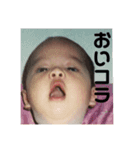 さんさんとロバの紛争記（個別スタンプ：5）