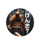 さんさんとロバの紛争記（個別スタンプ：8）