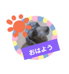 使える！日常スタンプ(ゆかいな仲間たち)（個別スタンプ：2）