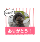 使える！日常スタンプ(ゆかいな仲間たち)（個別スタンプ：3）