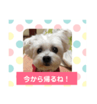使える！日常スタンプ(ゆかいな仲間たち)（個別スタンプ：4）