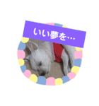 使える！日常スタンプ(ゆかいな仲間たち)（個別スタンプ：5）