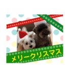 使える！日常スタンプ(ゆかいな仲間たち)（個別スタンプ：6）