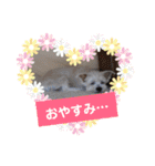 使える！日常スタンプ(ゆかいな仲間たち)（個別スタンプ：7）