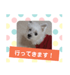 使える！日常スタンプ(ゆかいな仲間たち)（個別スタンプ：8）