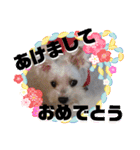 使える！日常スタンプ(ゆかいな仲間たち)（個別スタンプ：9）