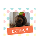 使える！日常スタンプ(ゆかいな仲間たち)（個別スタンプ：10）