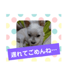 使える！日常スタンプ(ゆかいな仲間たち)（個別スタンプ：11）