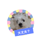 使える！日常スタンプ(ゆかいな仲間たち)（個別スタンプ：12）