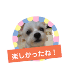 使える！日常スタンプ(ゆかいな仲間たち)（個別スタンプ：16）