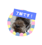 使える！日常スタンプ(ゆかいな仲間たち)（個別スタンプ：18）