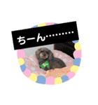 使える！日常スタンプ(ゆかいな仲間たち)（個別スタンプ：22）