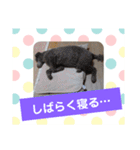 使える！日常スタンプ(ゆかいな仲間たち)（個別スタンプ：23）