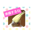 使える！日常スタンプ(ゆかいな仲間たち)（個別スタンプ：24）