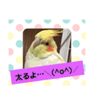 使える！日常スタンプ(ゆかいな仲間たち)（個別スタンプ：25）