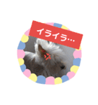 使える！日常スタンプ(ゆかいな仲間たち)（個別スタンプ：26）
