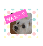 使える！日常スタンプ(ゆかいな仲間たち)（個別スタンプ：28）