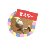 使える！日常スタンプ(ゆかいな仲間たち)（個別スタンプ：29）