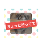 使える！日常スタンプ(ゆかいな仲間たち)（個別スタンプ：30）