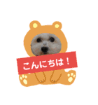 使える！日常スタンプ(ゆかいな仲間たち)（個別スタンプ：32）