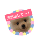 使える！日常スタンプ(ゆかいな仲間たち)（個別スタンプ：33）