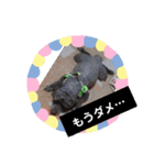 使える！日常スタンプ(ゆかいな仲間たち)（個別スタンプ：34）