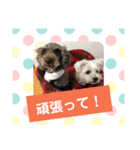使える！日常スタンプ(ゆかいな仲間たち)（個別スタンプ：35）