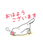 文鳥キブン～ゆるっと敬語編～（個別スタンプ：1）