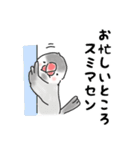 文鳥キブン～ゆるっと敬語編～（個別スタンプ：7）