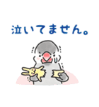 文鳥キブン～ゆるっと敬語編～（個別スタンプ：31）