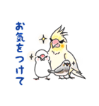文鳥キブン～ゆるっと敬語編～（個別スタンプ：33）