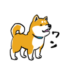 汎用 犬スタンプ（個別スタンプ：1）