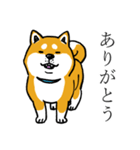 汎用 犬スタンプ（個別スタンプ：5）