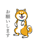 汎用 犬スタンプ（個別スタンプ：6）