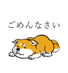 汎用 犬スタンプ（個別スタンプ：7）