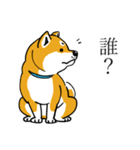 汎用 犬スタンプ（個別スタンプ：35）