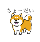 汎用 犬スタンプ（個別スタンプ：36）