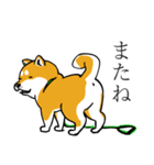 汎用 犬スタンプ（個別スタンプ：40）