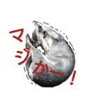 アナ＊（個別スタンプ：2）