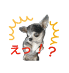 アナ＊（個別スタンプ：6）