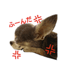 アナ＊（個別スタンプ：8）