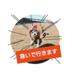 アナ＊（個別スタンプ：9）