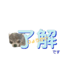 アナ＊（個別スタンプ：21）