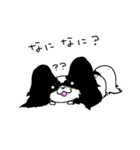 パピヨンのレイちゃん（個別スタンプ：6）