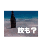 海へお誘いスタンプ（個別スタンプ：5）