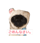 cat's sticker factory3（個別スタンプ：7）