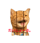 cat's sticker factory3（個別スタンプ：24）